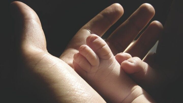 رسالة البابا فرنسيس إلى أساقفة إنجلترا وبلاد الغال لمناسبة الاحتفال بيوم الحياة 2020