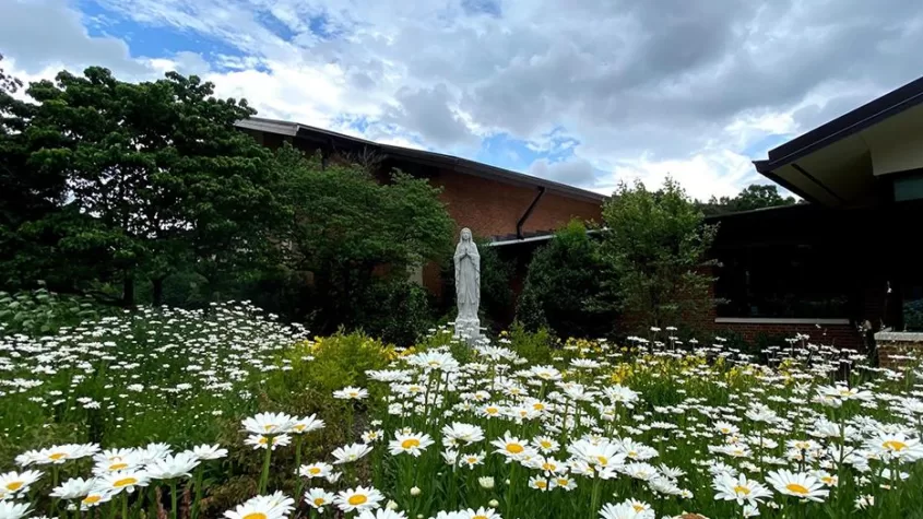 أمّ النور والزهور